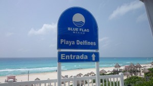 Playa delfines bandera azul