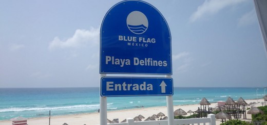Playa delfines bandera azul